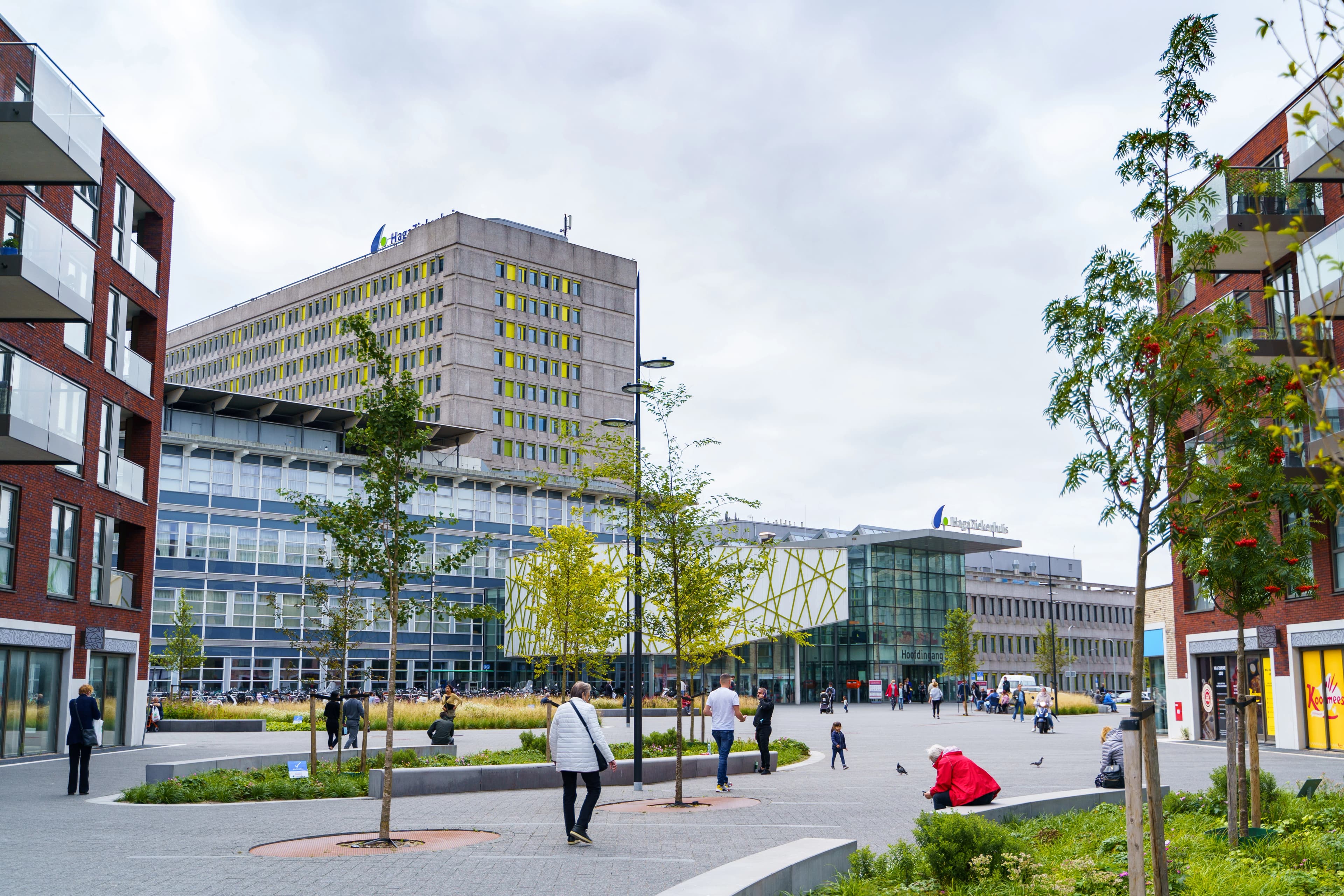 A Hospital in the Netherlands